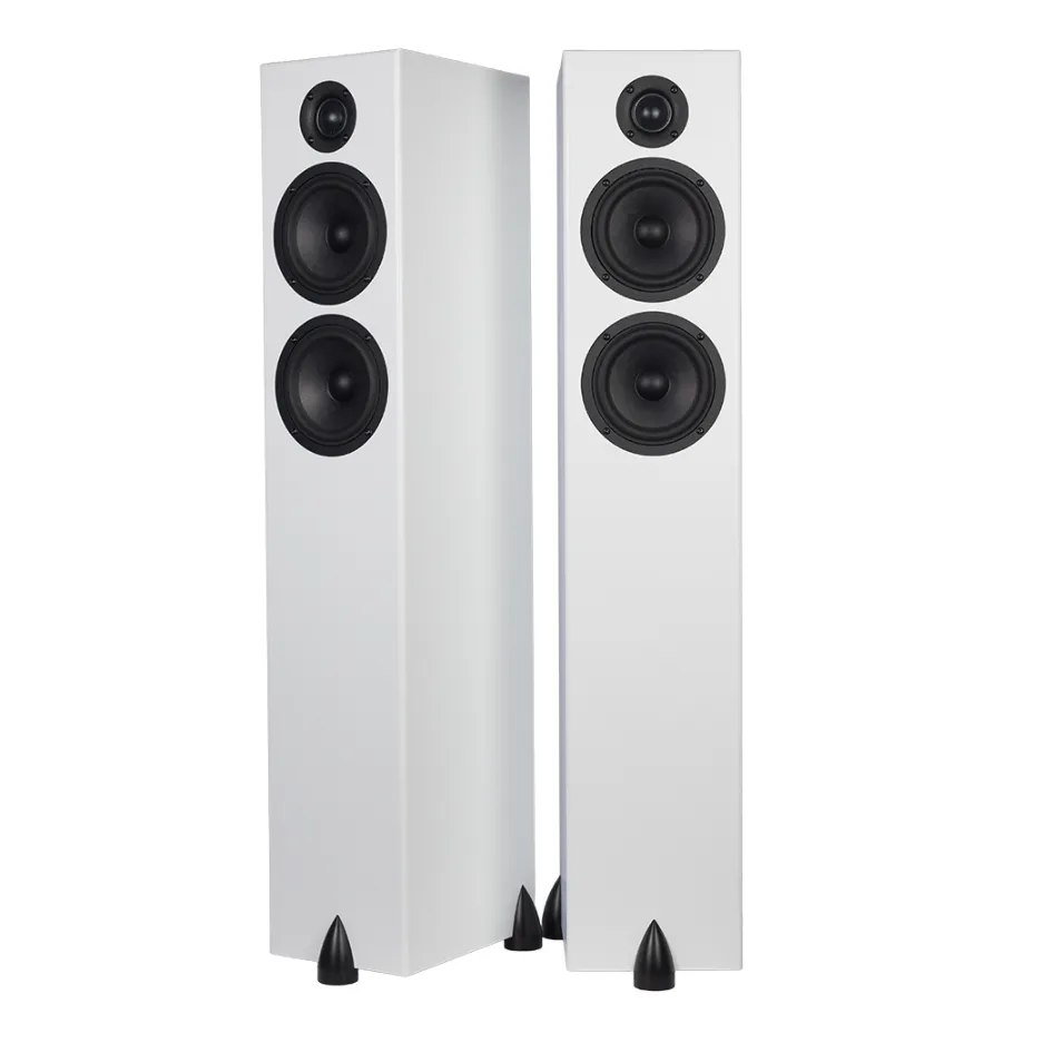 Totem Bison Twin Tower Luidsprekers